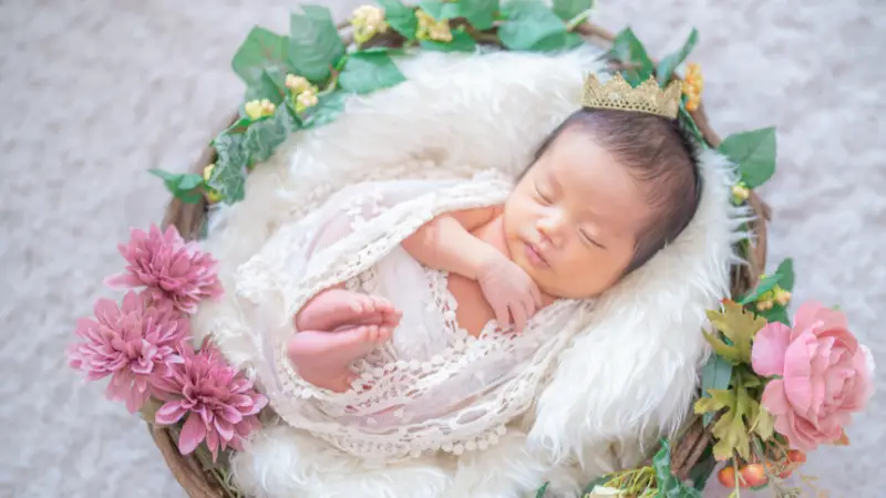 カゴに入った赤ちゃん